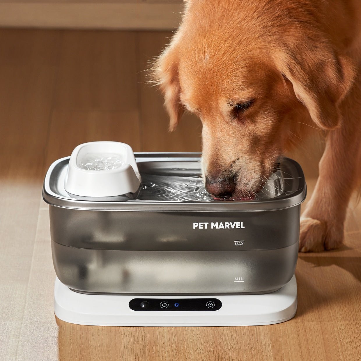 a dog is enjoying drinking with pet marvel dog water fountain F2 V2