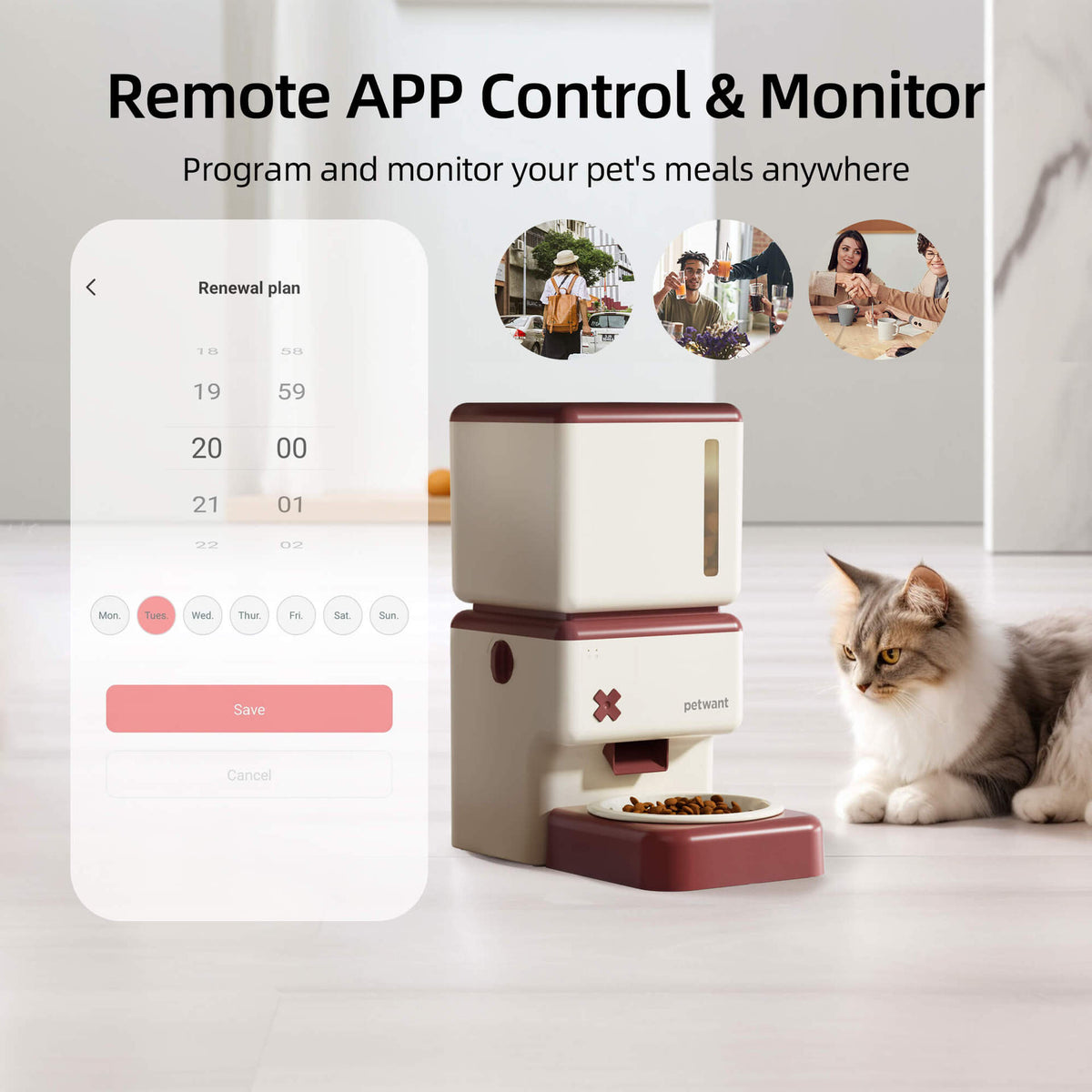 3.5L自动宠物喂食器WIFI远程APP定时定量猫狗陶瓷碗自动投喂
