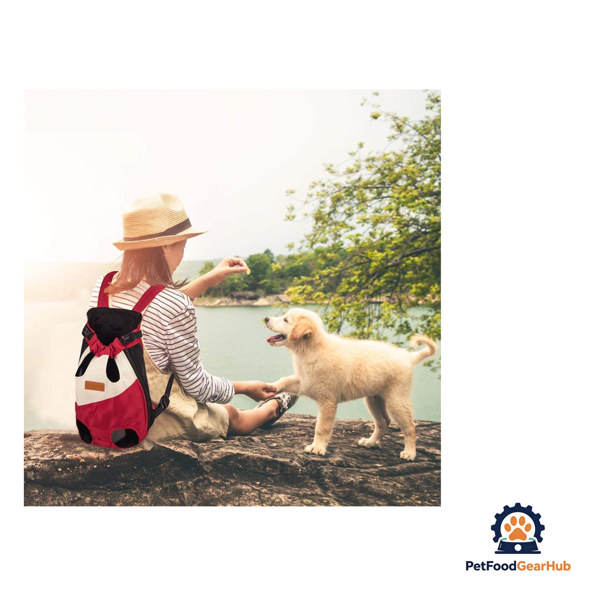 PetFoodGearHub Pet Carrier Backpack for Small and Medium Pets - product image 9