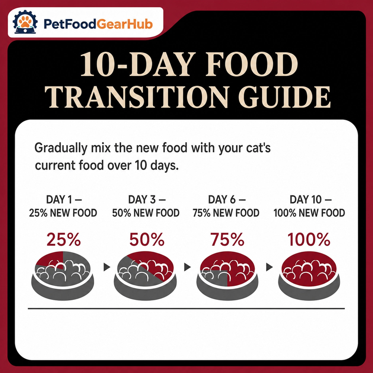 PetFoodGearHub 10-day cat food transition guide