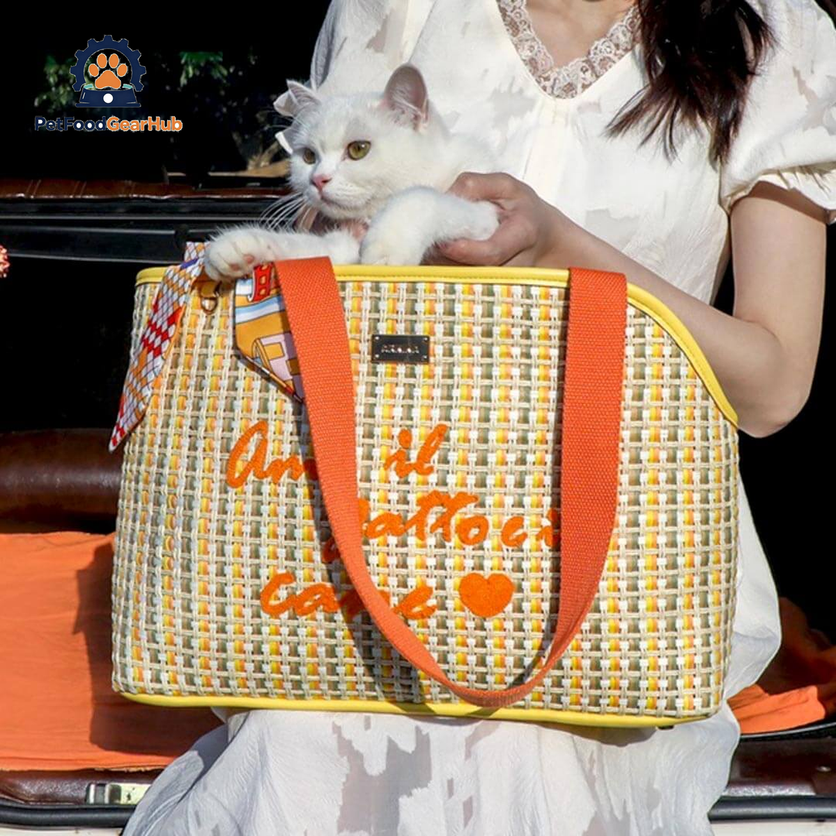 Carrying PetFoodGearHub Woven Cat Carrier With Cat Inside | PetFoodGearHub