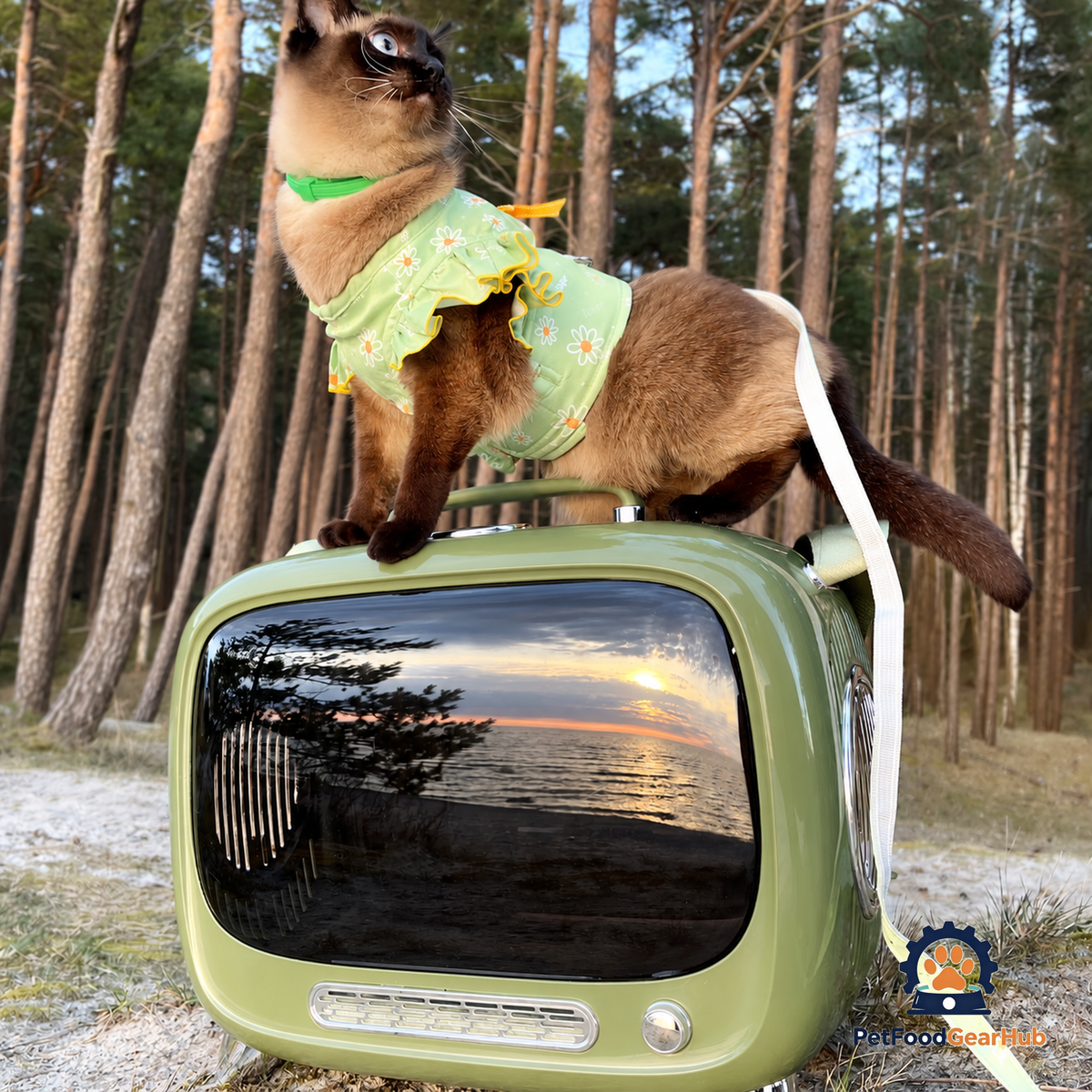 PetFoodGearHub Cat Carrier | Vintage-Inspired Pet Carrier | PetFoodGearHub