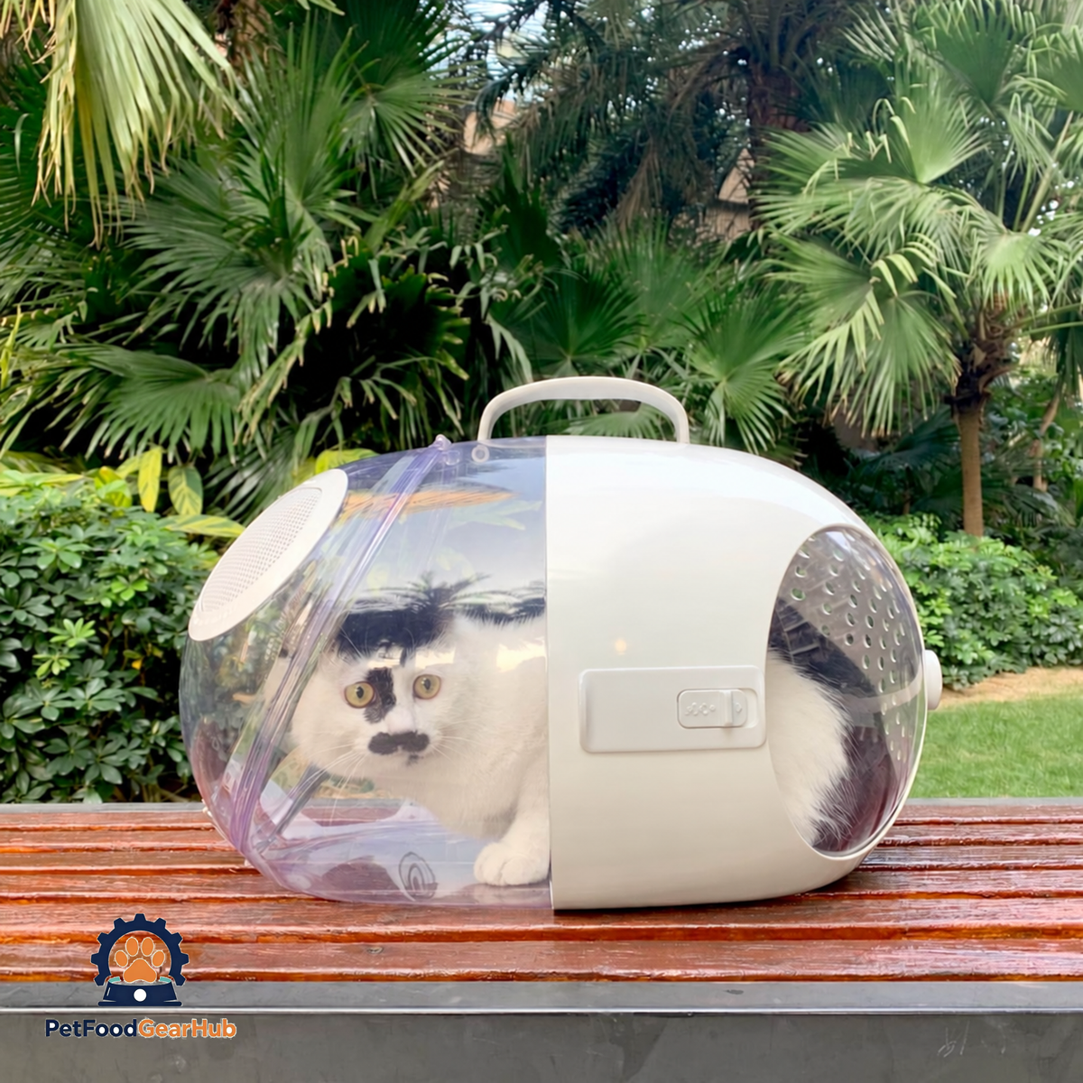 Cat in PetFoodGearHub Capsule Cat Carrier on a Bench | PetFoodGearHub