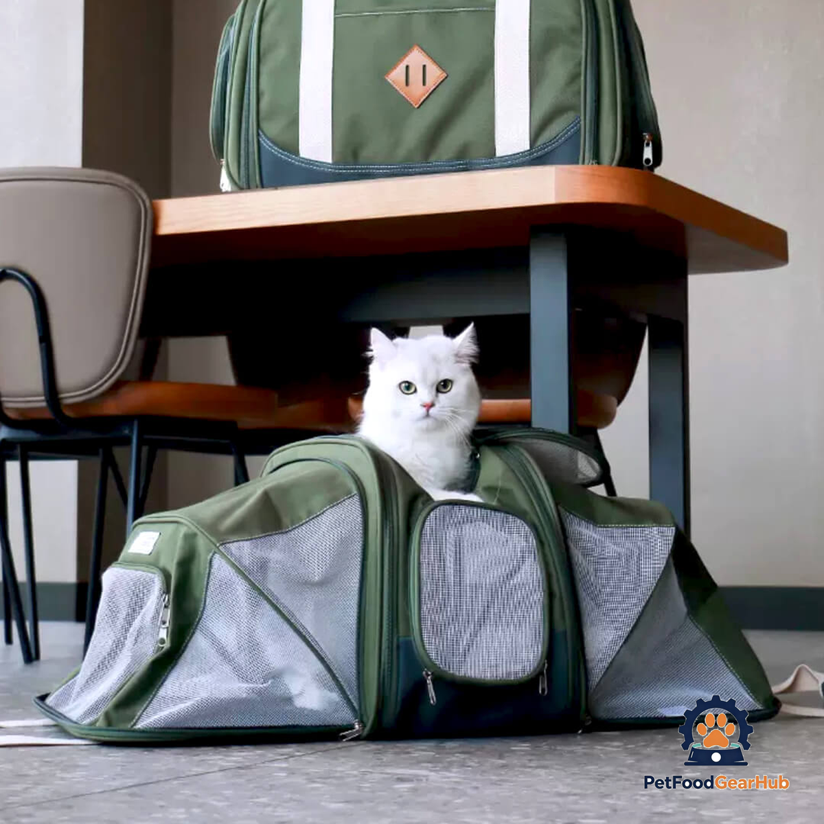 Top Loading Kitty Chic Expandable airline-oriented Cat Carrier with Cat Inside | PetFoodGearHub