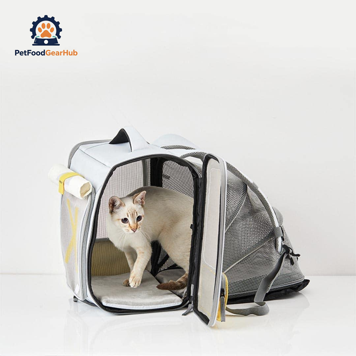 Cat in Fold-Out Compartment of Expandable Backpack | PetFoodGearHub