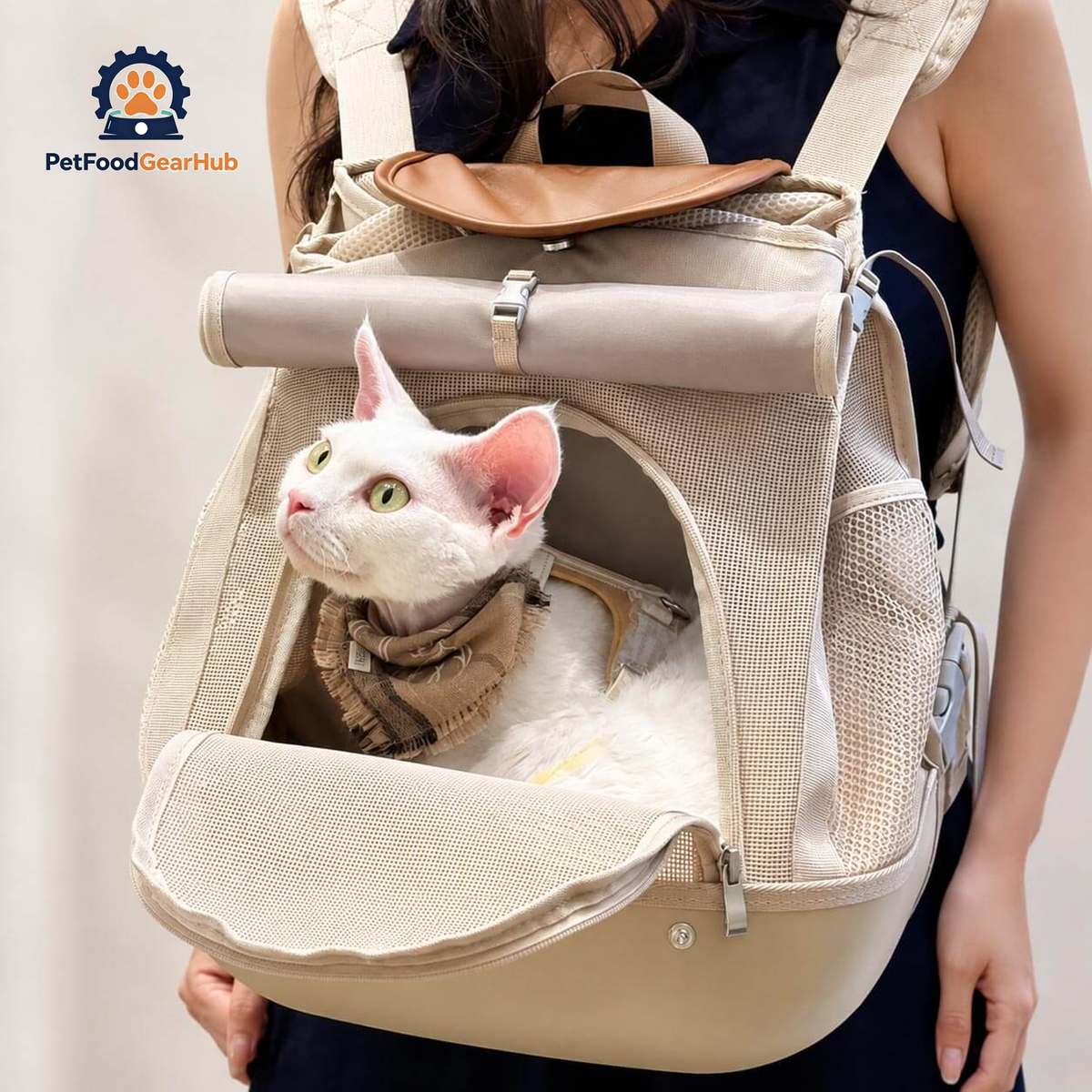 PetFoodGearHub Breeze Cat Backpack with Front Opening and Cat | PetFoodGearHub