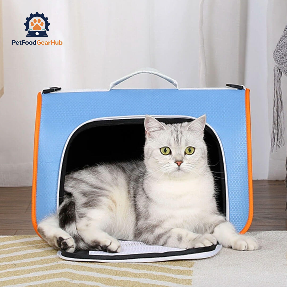Cat in Blue Lightweight airline-oriented Travel Cat Carrier | PetFoodGearHub