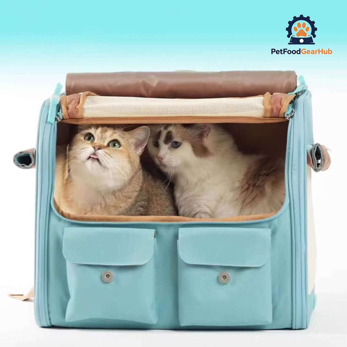 2 Cats Sitting Inside Collapsible Blue Cat Backpack | PetFoodGearHub