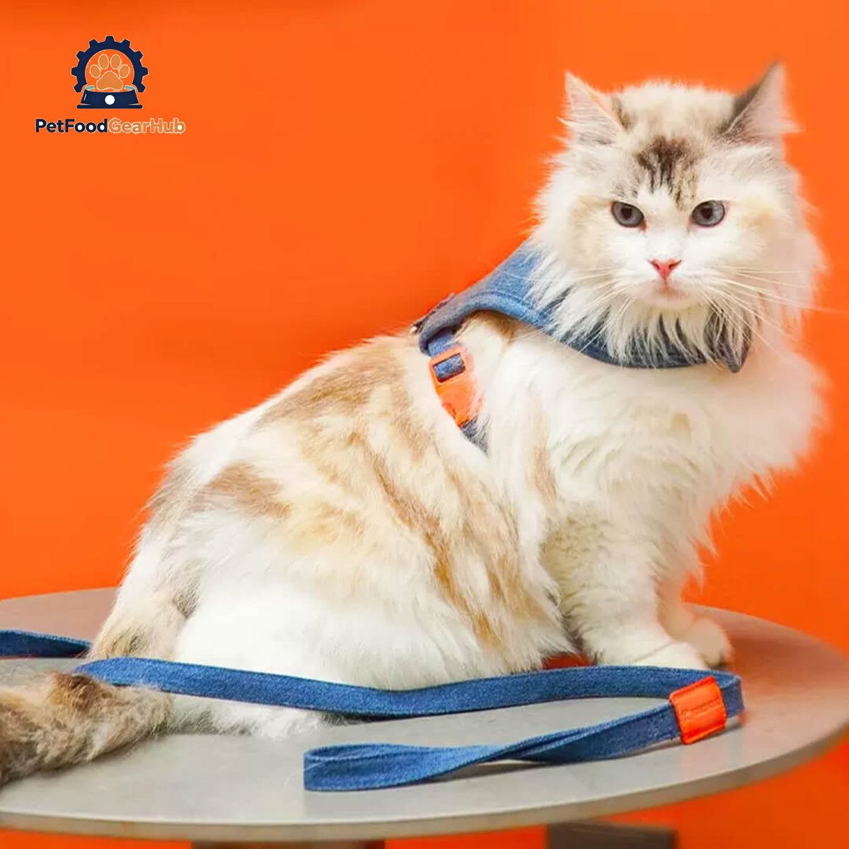 Cat in Denim Cat Harness | PetFoodGearHub