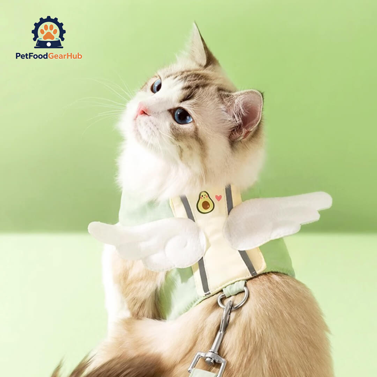 Cat Wearing Avocado Angel Wings Harness | PetFoodGearHub