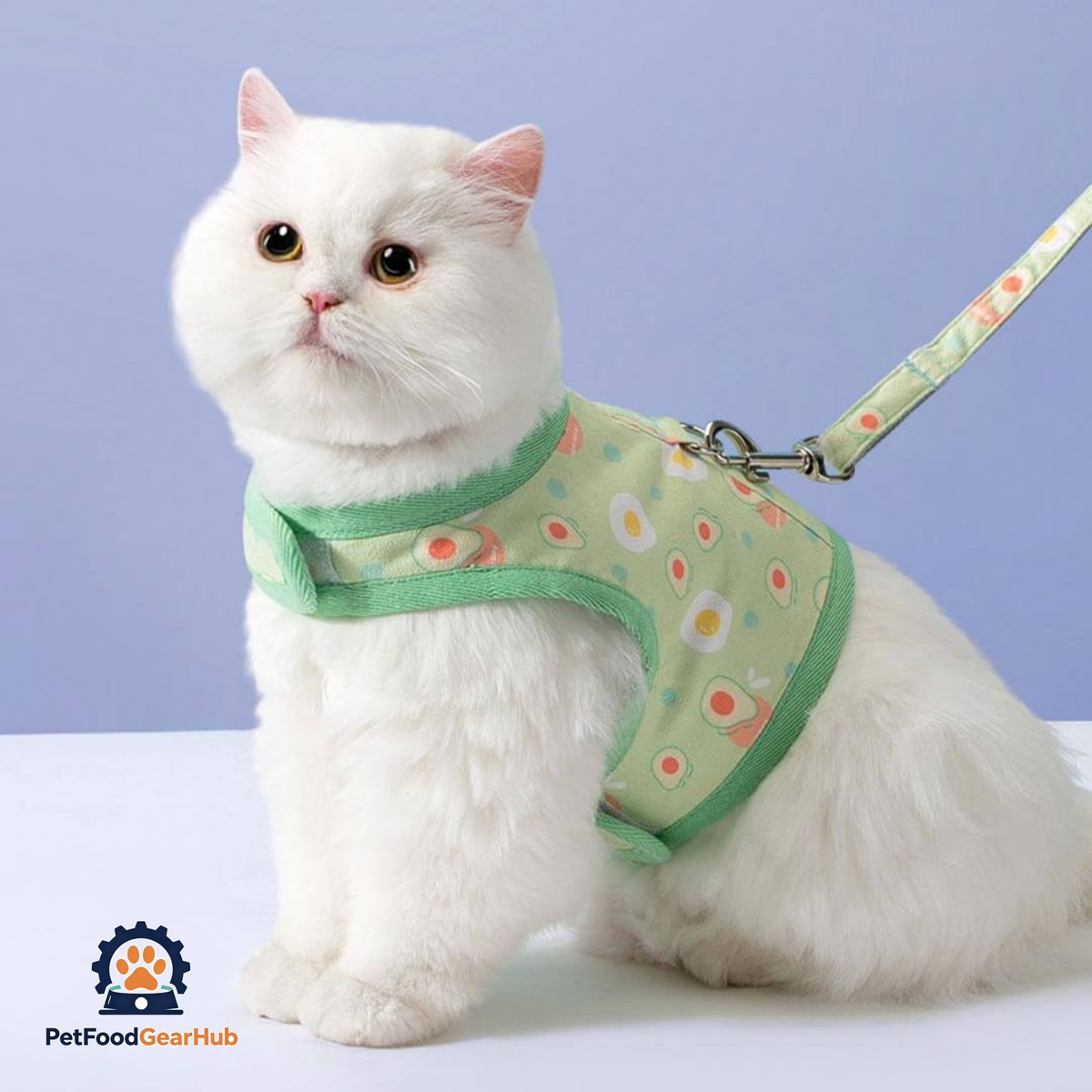 Cat Ready for a Walk in Nova Cat Harness & Leash Set | PetFoodGearHub