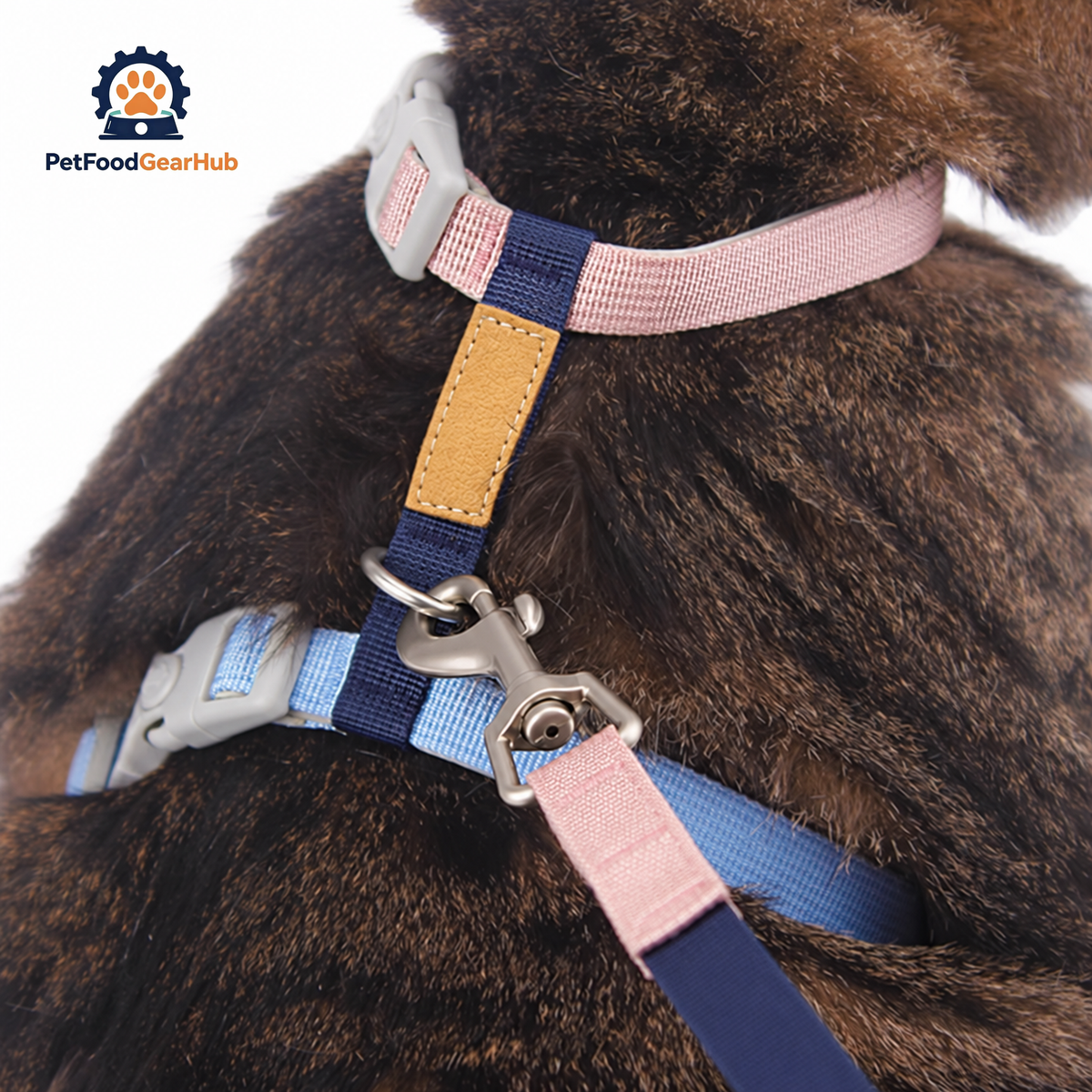 Cat on Honey Bunny H-Style Cat Harness | PetFoodGearHub
