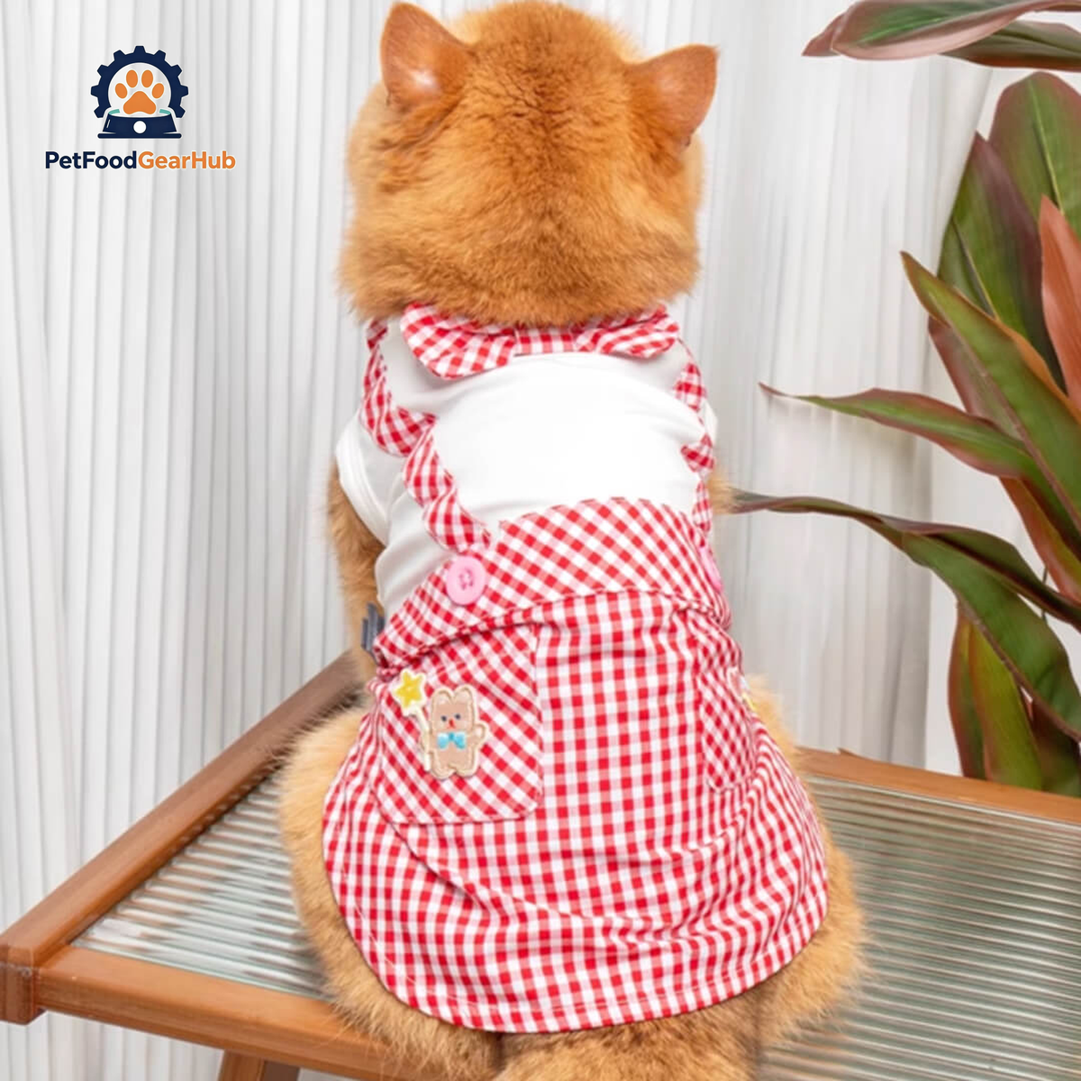 Cat in Red Check Vest | PetFoodGearHub