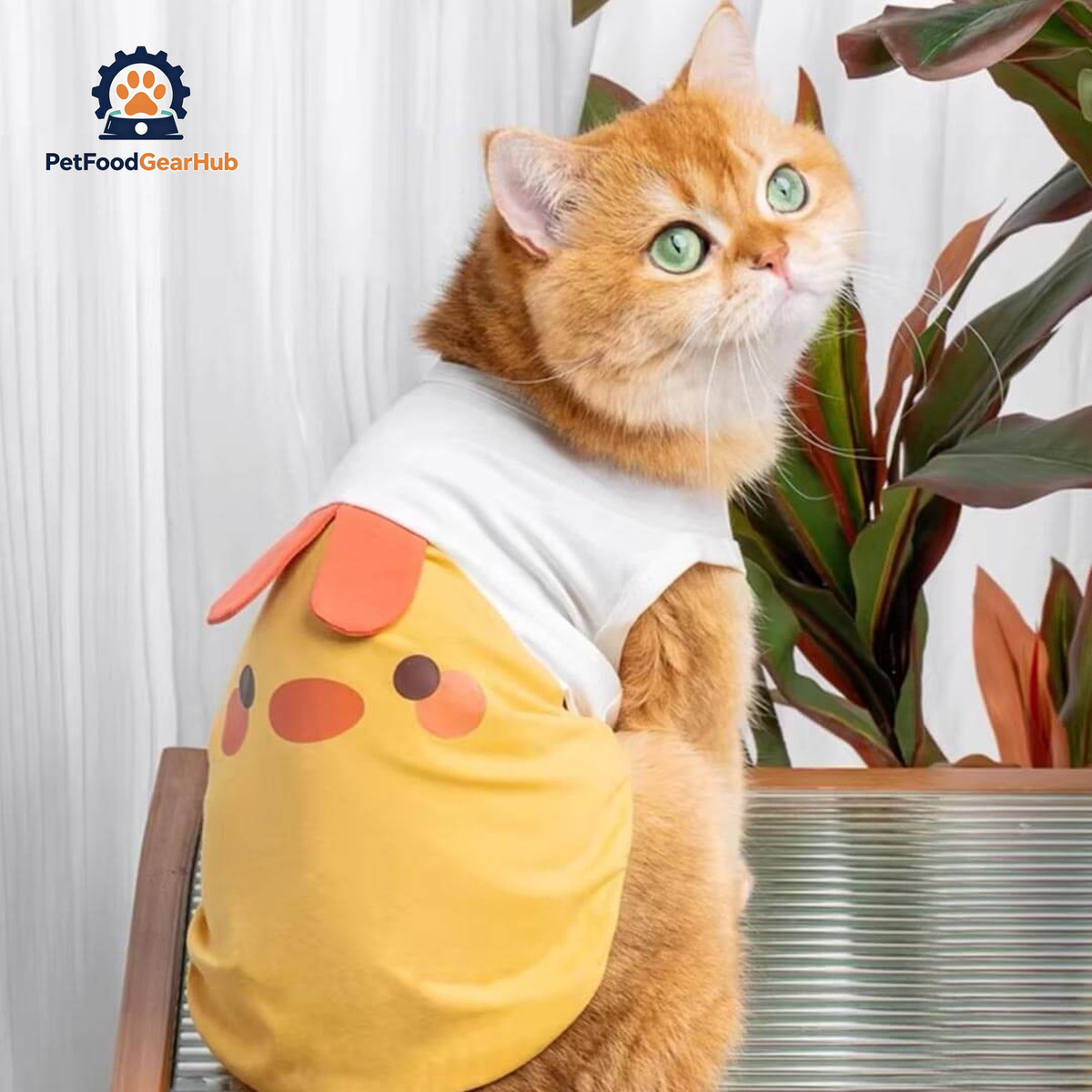 Yellow Chicken Cat Vest On Cat | Adorable Cat Outfit | PetFoodGearHub