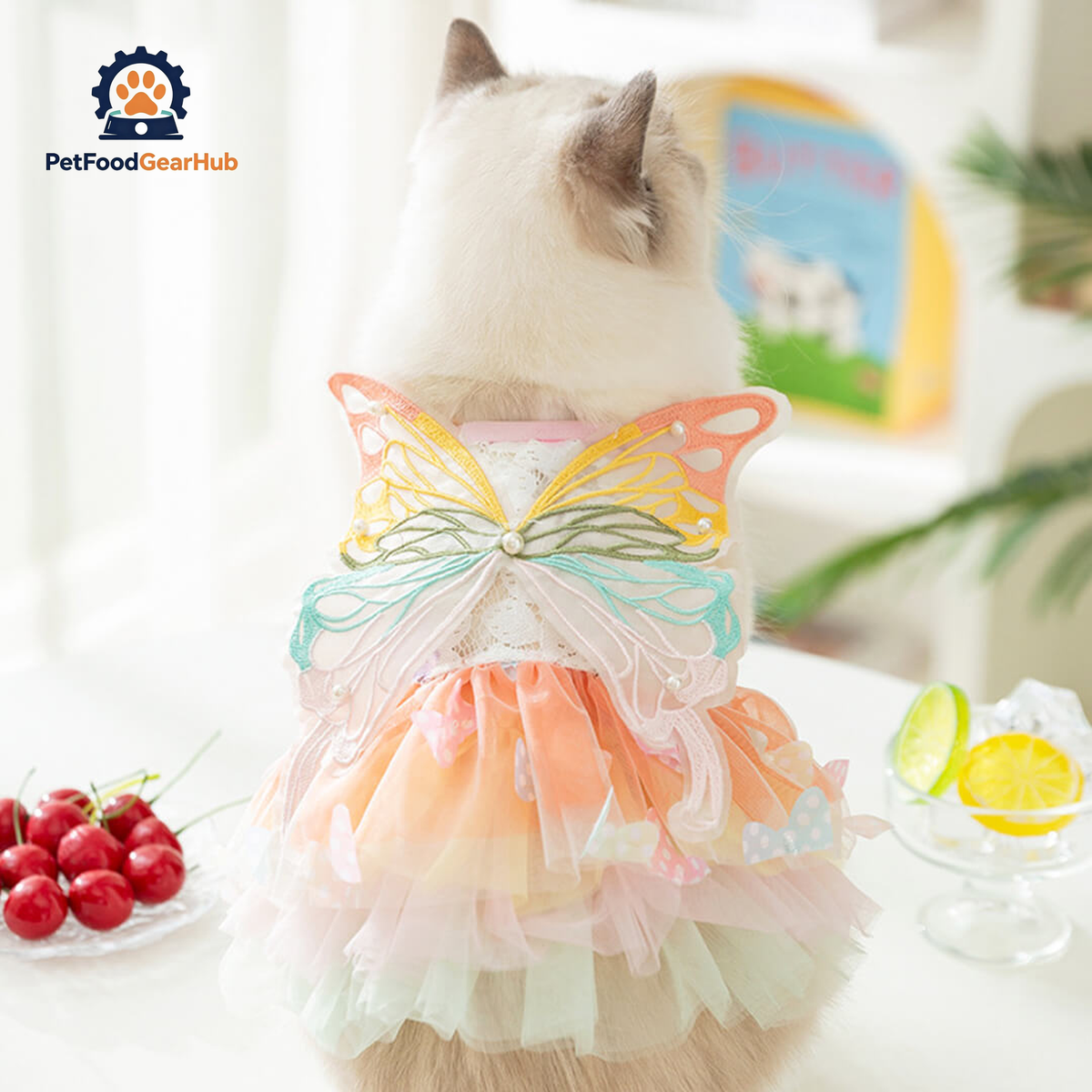 Cat in Butterfly Summer Dress | PetFoodGearHub