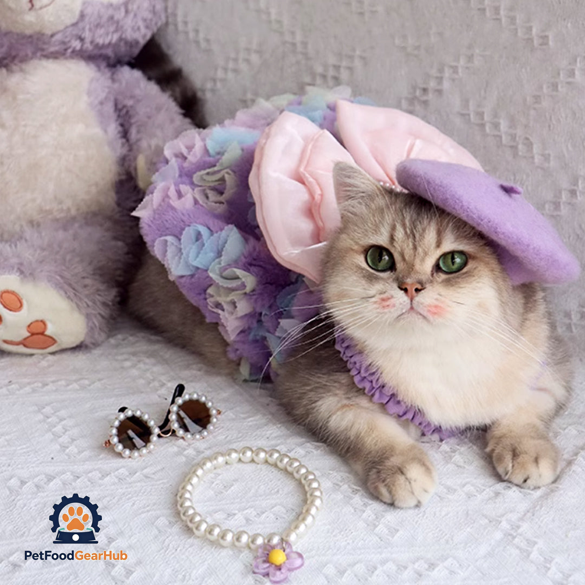 Cat in Cute Lilac Dress | PetFoodGearHub