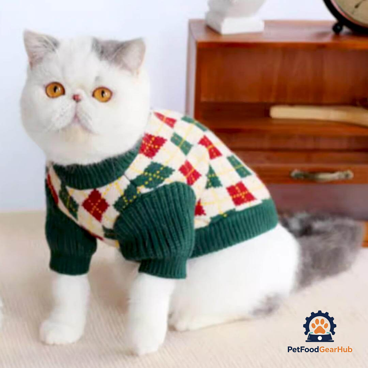 Cat in Argyle Sweater | PetFoodGearHub