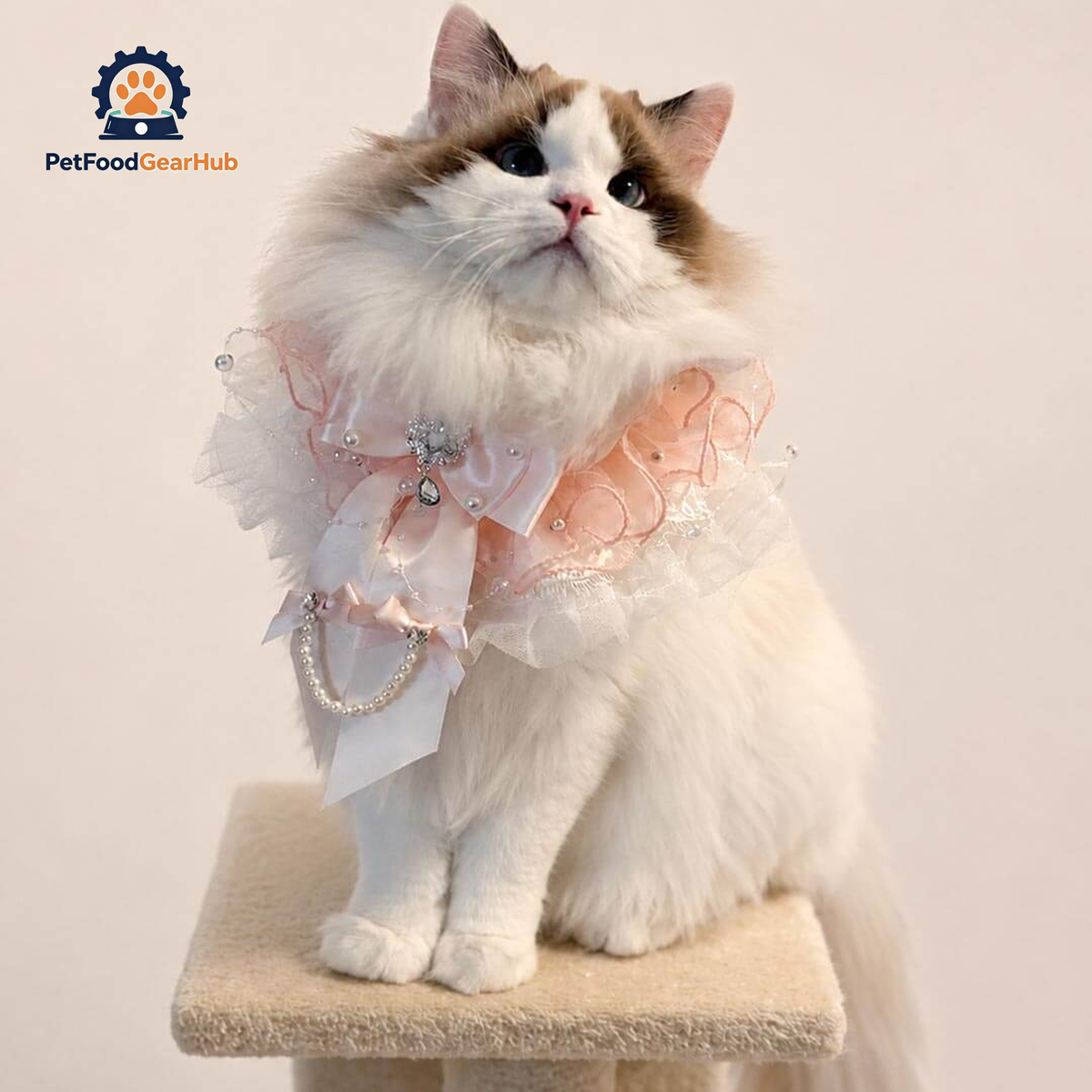 Pink Pearl Bow Cat Bib on Fluffy Cat | Handmade Ruffle Cat Bib | PetFoodGearHub