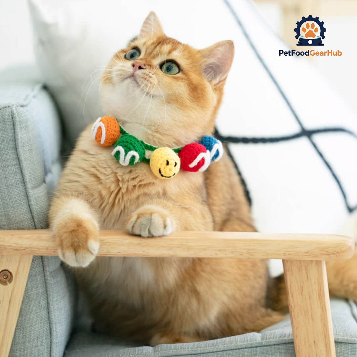 Cat in Handmade Colorful Balls Cat Collar | PetFoodGearHub