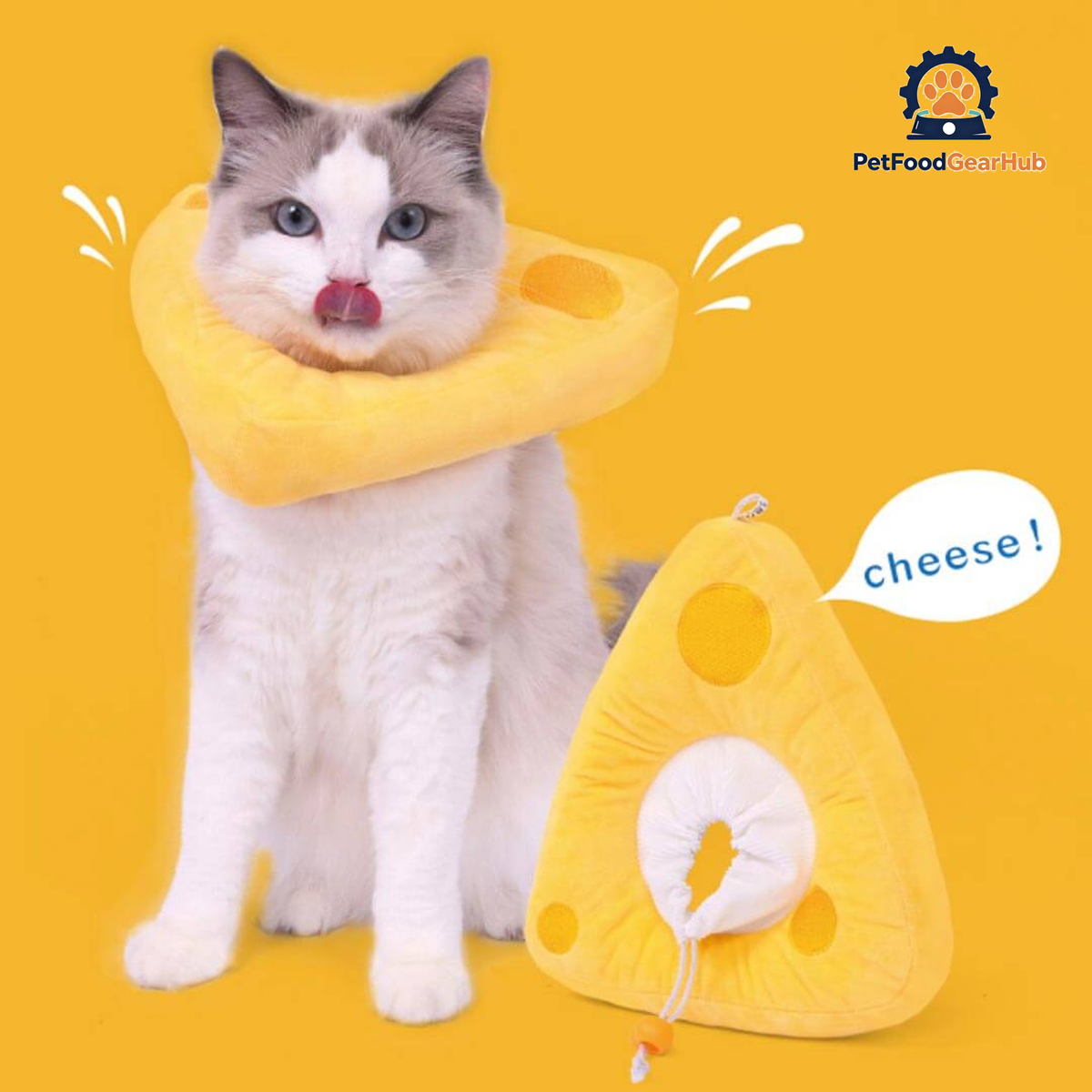 Cheese Elizabethan Collar for Cats | Cat with E Collar | PetFoodGearHub