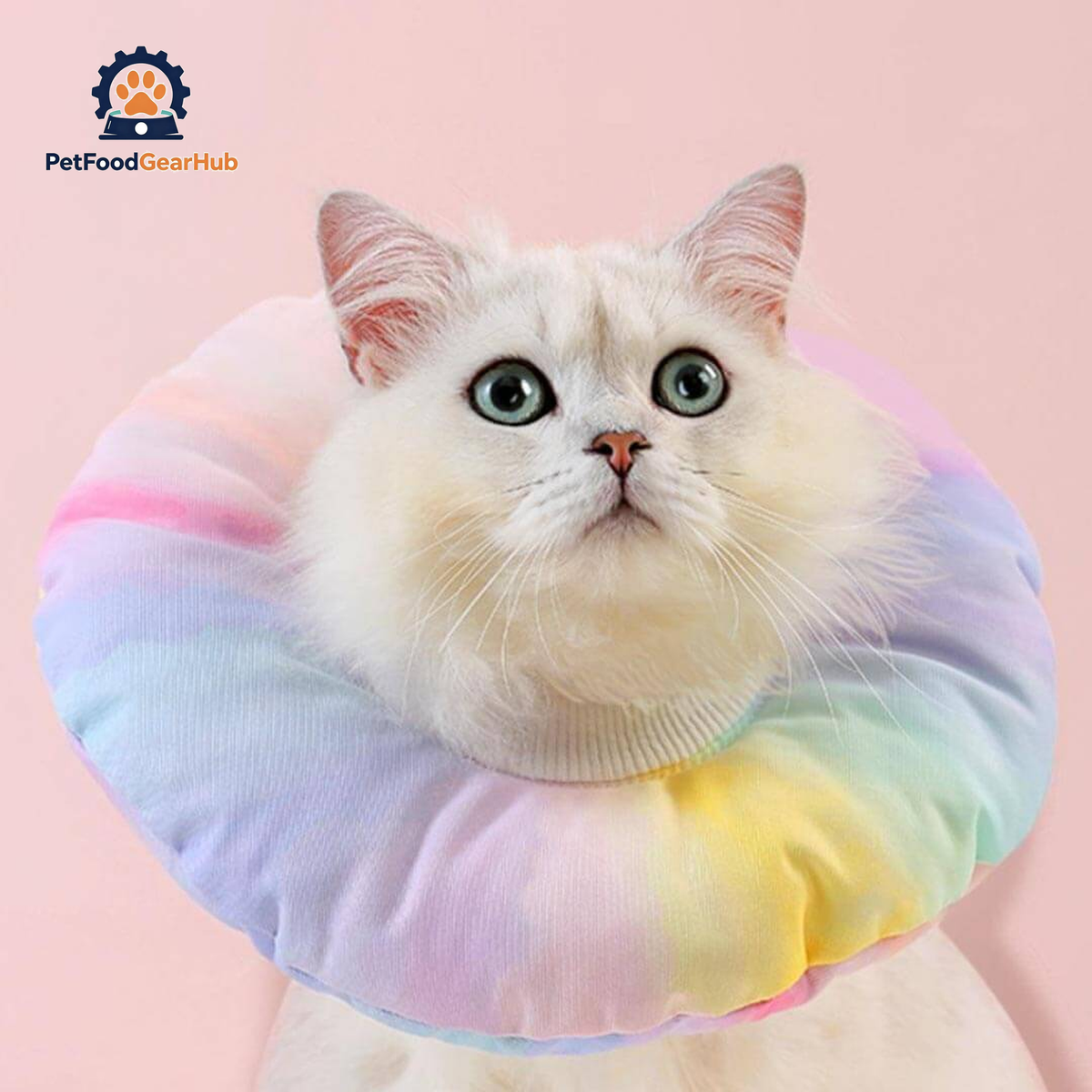Fairy Elizabethan Collar | Cute E Collar for Pets | PetFoodGearHub