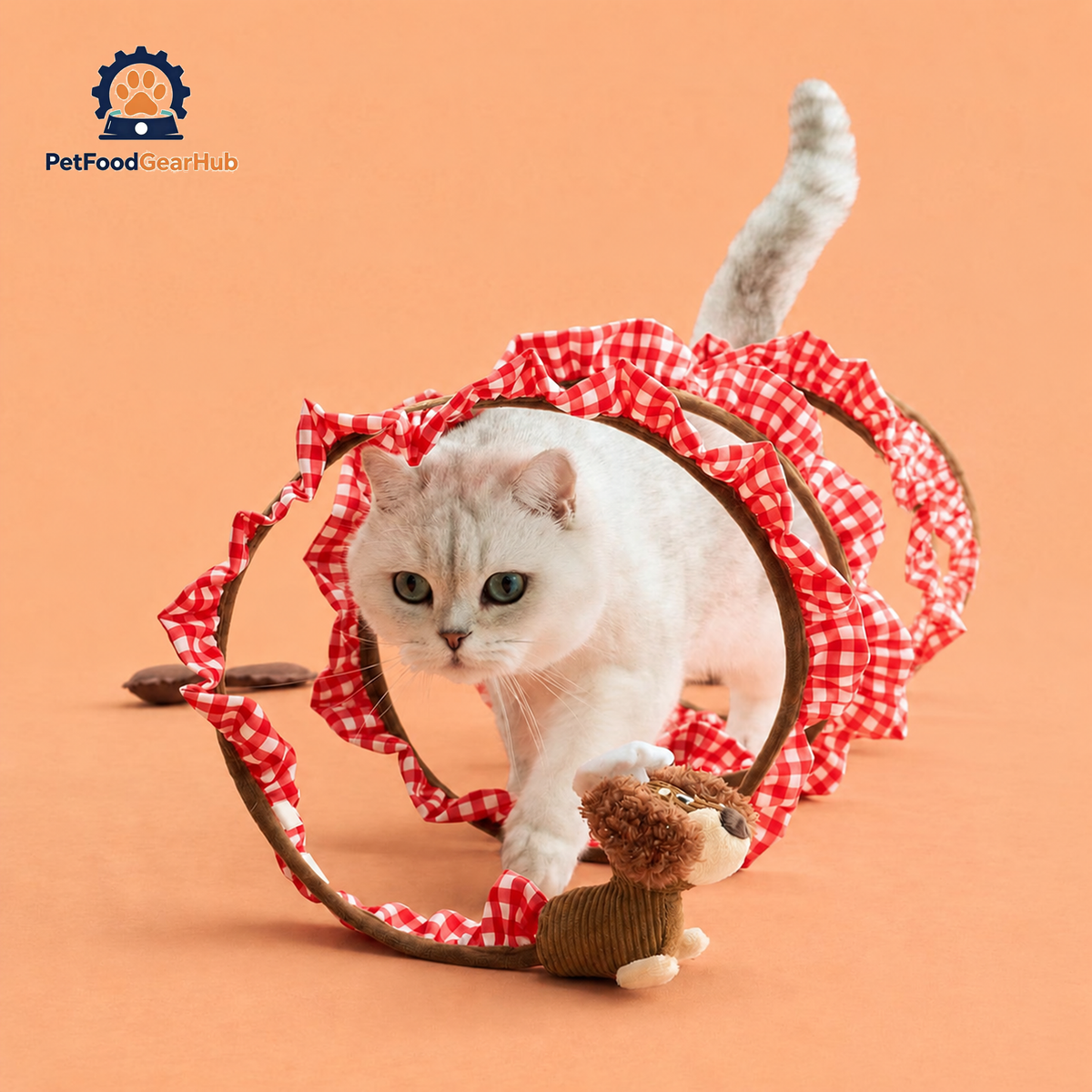 White Cat Walking Through Puppy Spiral Cat Tunnel | Interactive Cat Toys | PetFoodGearHub