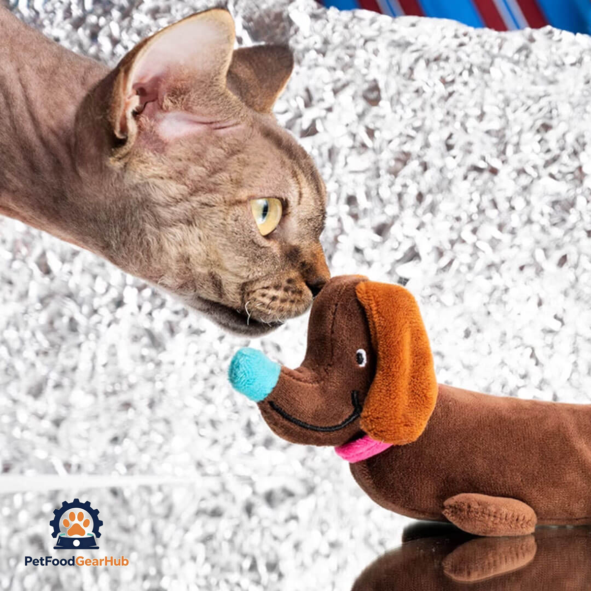 Sausage Dog Plush Catnip Toy for Cats | PetFoodGearHub