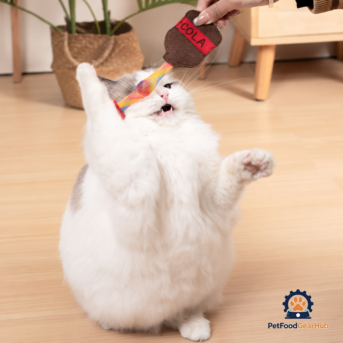 Cat Playing with Stretchy Cola Catnip Toy | PetFoodGearHub