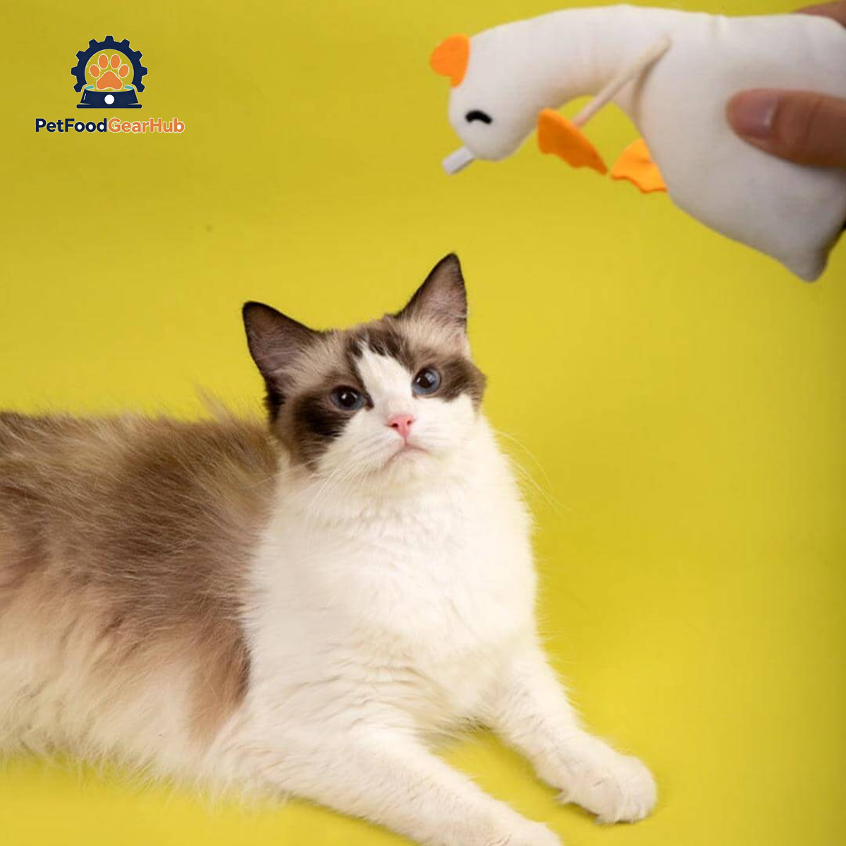 Goose Catnip Toy | Cute Cat Toys for Cats & Kittens | PetFoodGearHub