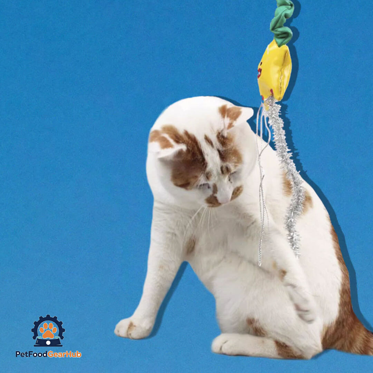 Cat with Twinkle Cat Wand Toy | Funny Toy for Bored Cats | PetFoodGearHub