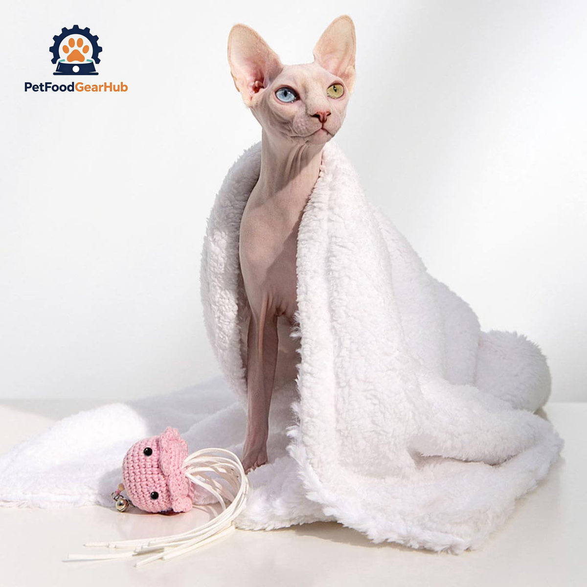Sphynx Cat with Jellyfish Cat Teaser Wand | Cute Cat Toys | PetFoodGearHub