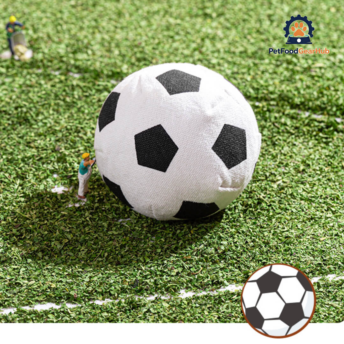 PetFoodGearHub Soccer Ball Catnip Toy product view 4