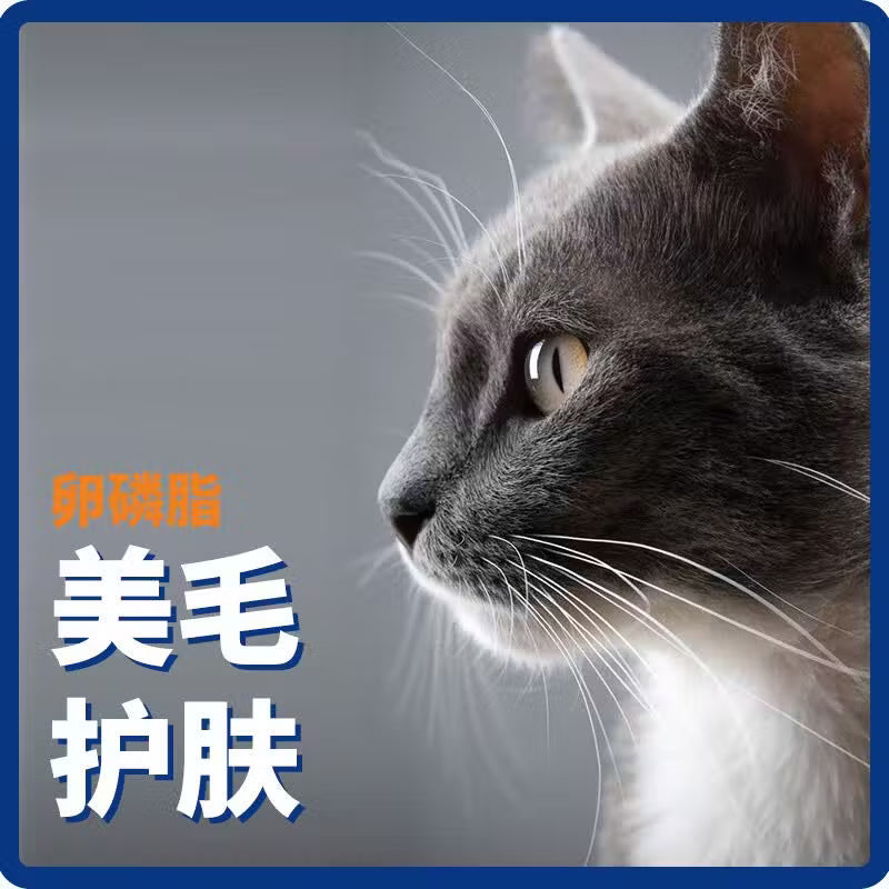 迪尤克猫粮鱼肉味幼猫成猫通用型主粮英短美短布偶猫咪营养猫粮 增肥养胃10斤装(2袋) 全期猫粮【39%鲜肉+三重益生元】