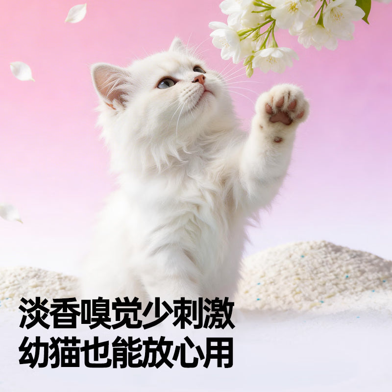 朗仕猫砂 月光初雪1.25kg*8包 除臭植物纯木薯猫砂吸水结团不粘底
