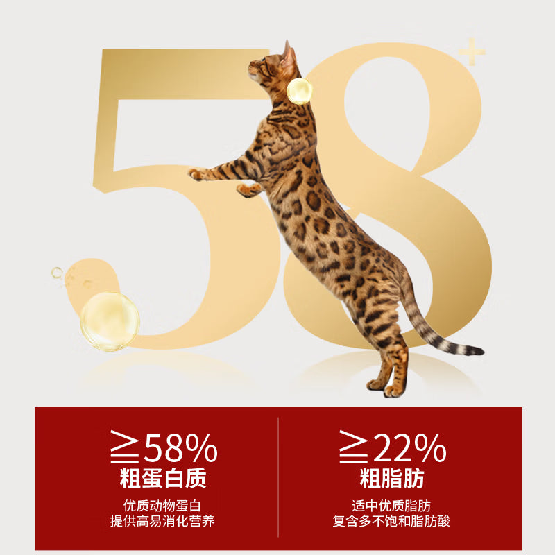 弗列加特98%生骨肉含量 FPMR磷虾油美毛猫主食罐头湿粮 乳鸽味95g*6罐