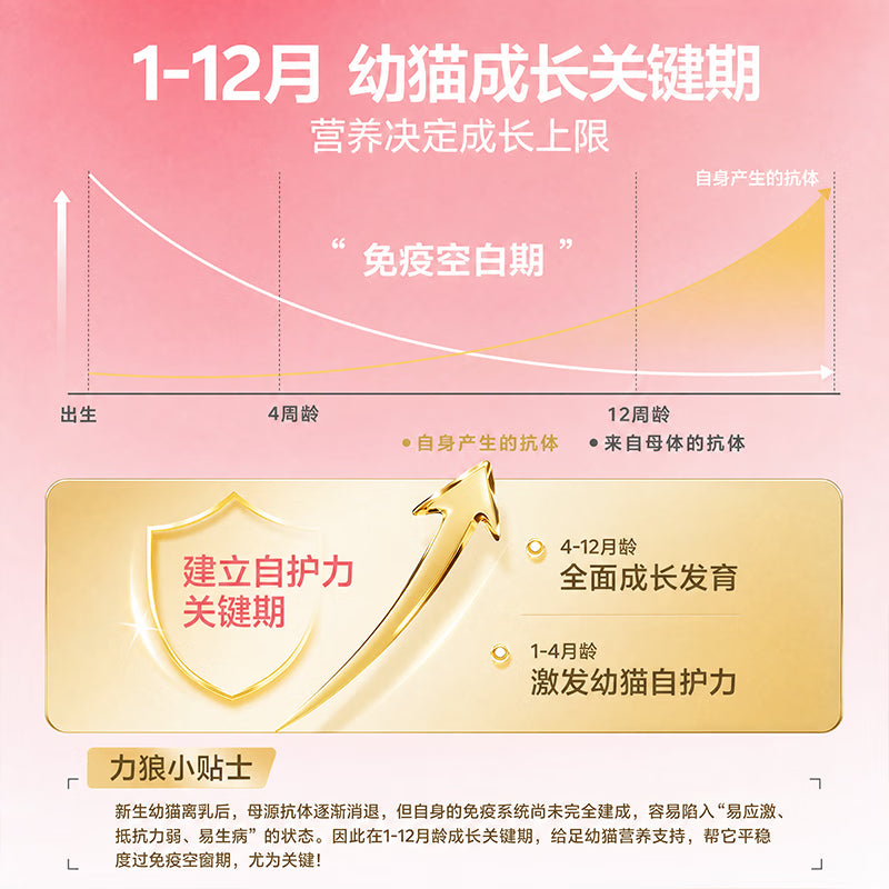 力狼幼猫粮 幼猫1-12月奶糕宠物全价全猫种通用 【升级2.0 | 自护助免疫】 幼猫专用粮2kg