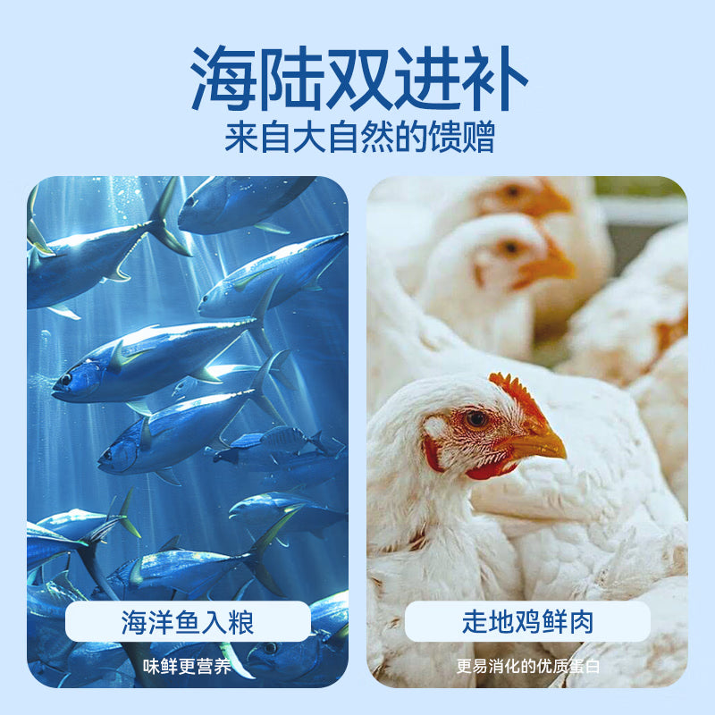 路斯 无谷猫粮鲜肉猫主粮成猫幼猫鸡肉海洋鱼猫粮 10kg大容量