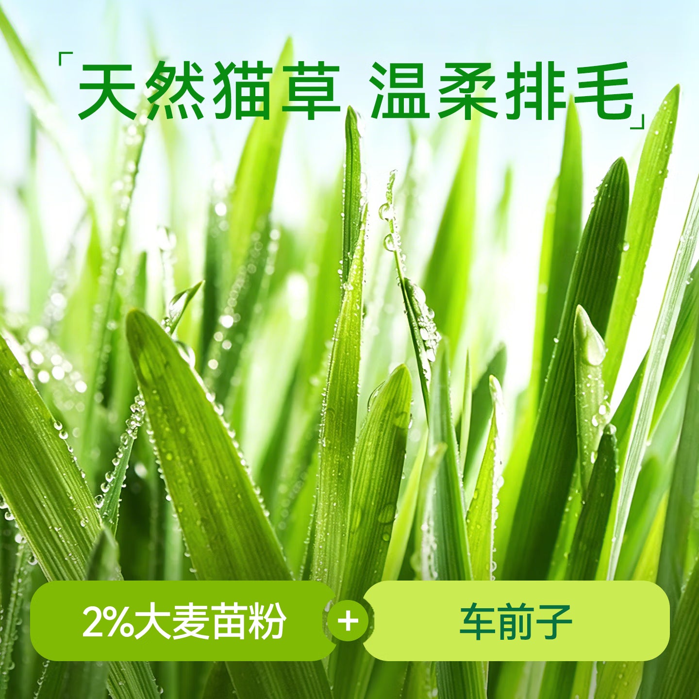 路斯鱼油冻干猫草粒猫咪零食温和排毛 冻干猫草粒25g*2袋