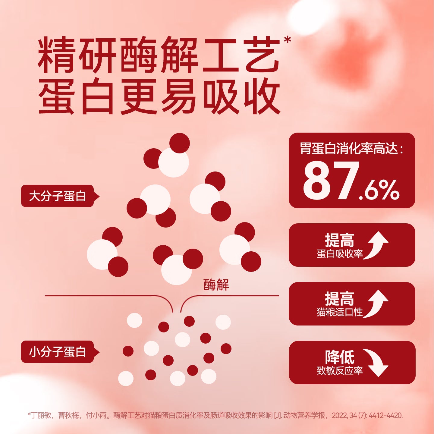 路斯冻干双拼猫粮全年龄段猫粮100g*2袋