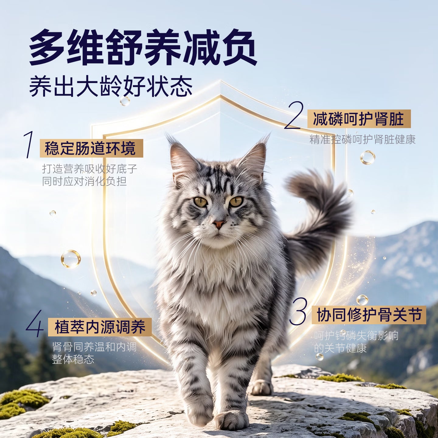 麦富迪猫粮 barf霸弗天然猫粮全价老年猫粮≥7岁 1.8kg*3