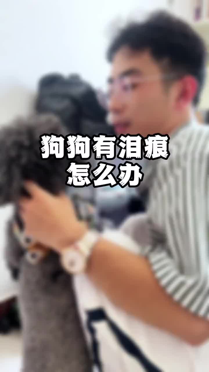 朗仕烘焙粮小型犬成犬幼犬粮鲜鸭肉梨冻干比熊柯基金毛通用狗粮1.5kg