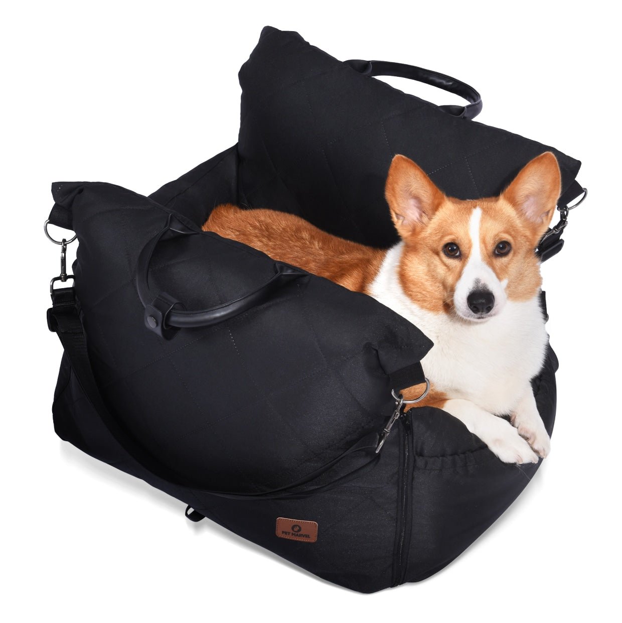 black dog car seat