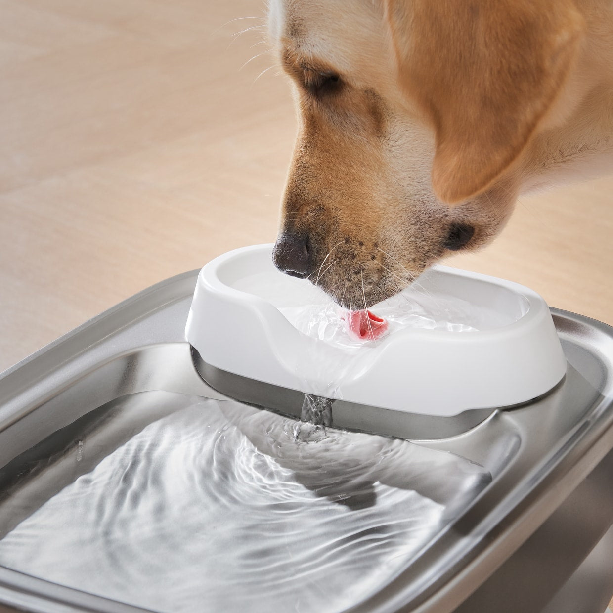 PET MARVEL Water Fountain F2V2 Water Outlet Tray
