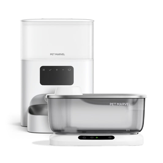 get a pet feeder M2 and dog water fountain F2 V2