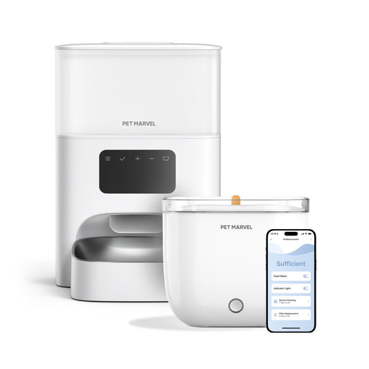 get a pet feeder M2 and water fountain light