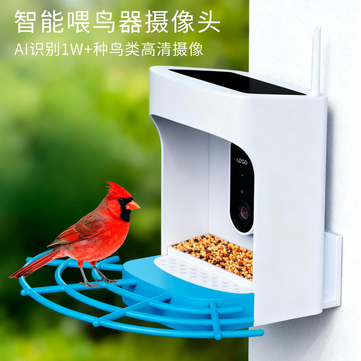 新款智能喂鸟器2K摄像头观鸟户外防水太阳能充电鸟笼喂鸟器摄像头