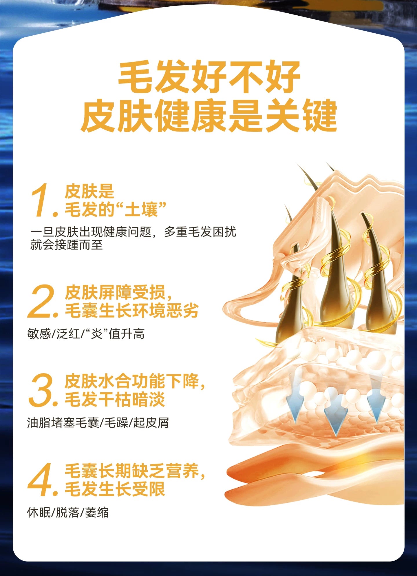 麦富迪甄珠鱼油犬用浓缩爆珠凤尾鱼油非卵磷脂美毛狗狗宠物磷虾油