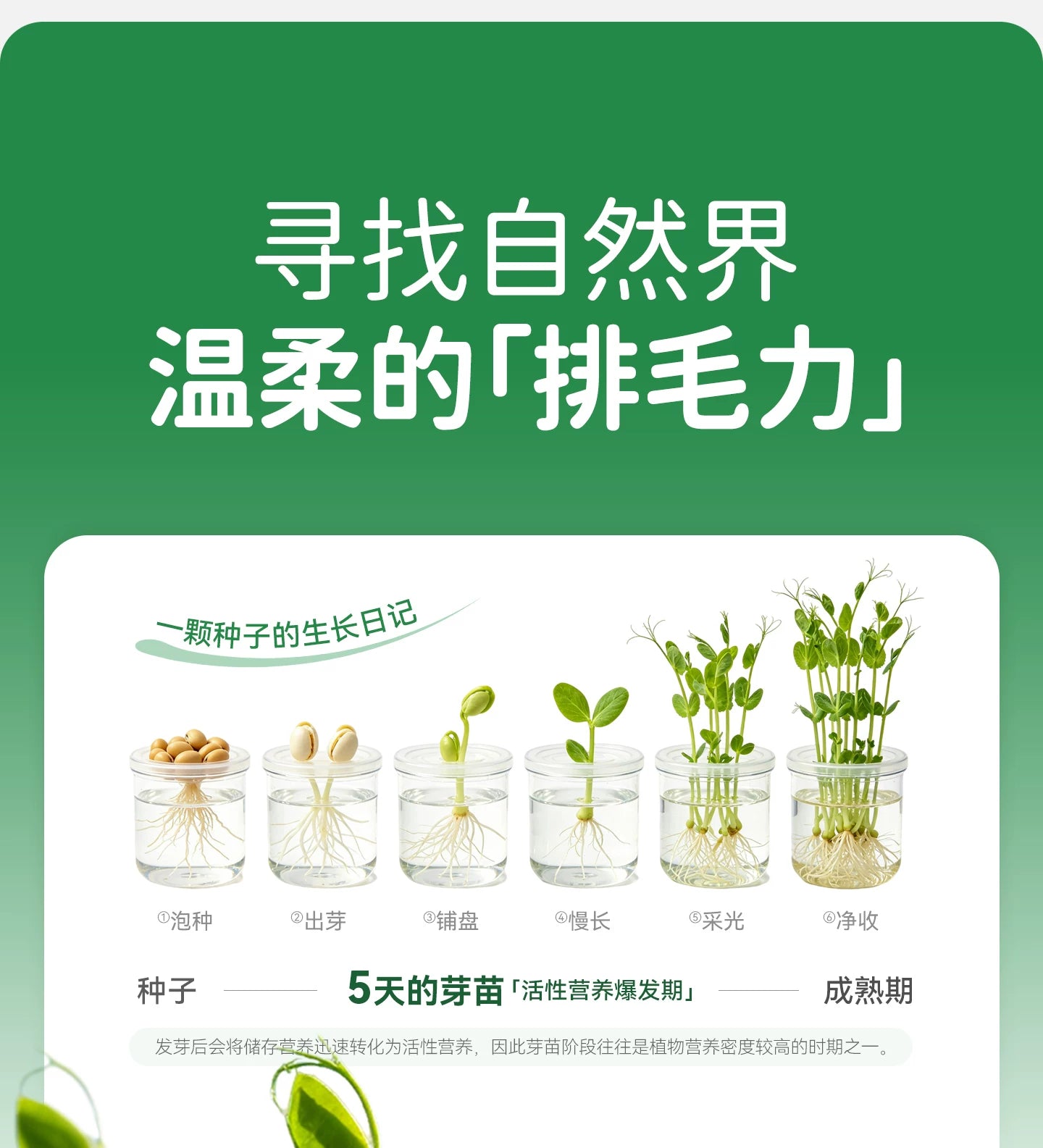 【新品】麦富迪猫零食排毛富纤芽苗饼干鲜鸡肉味成幼猫冻干小零食