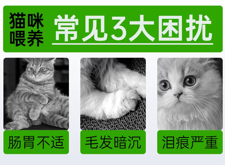 朗仕猫粮幼猫成猫10kg品牌排行榜英短美短蓝猫价鲜肉全阶段20斤装