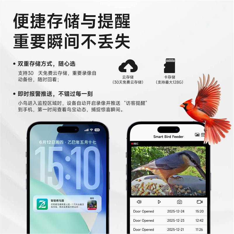 智能喂鸟器ai鸟类识别2K高清户外太阳能摄像头观鸟器亚马逊